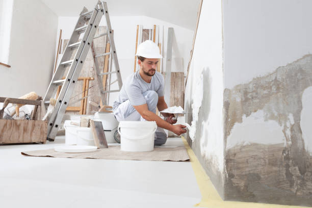 Best Drywall Sanding and Smoothing  in USA